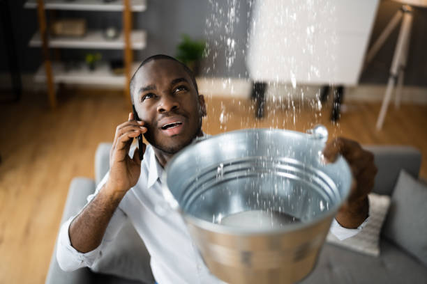 Best Residential water damage restoration  in Piney Mountain, VA