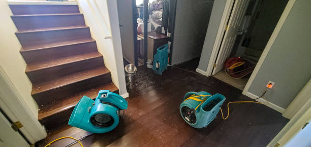 Best 24/7 water damage repair  in Piney Mountain, VA