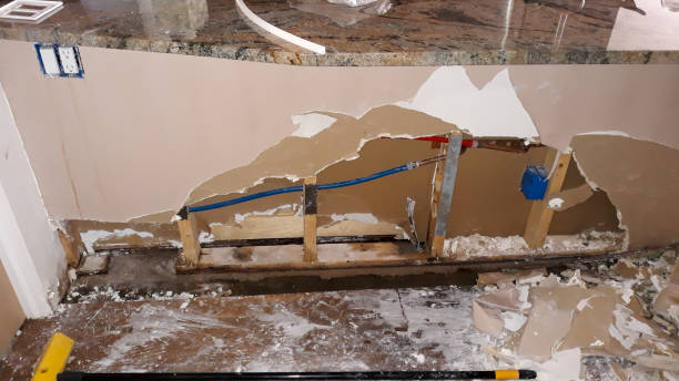 Best Flood damage cleanup  in Piney Mountain, VA