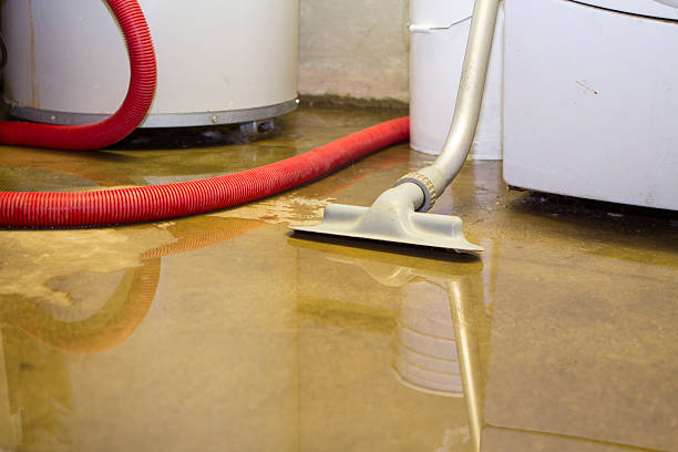Local water damage restoration in Piney Mountain, VA