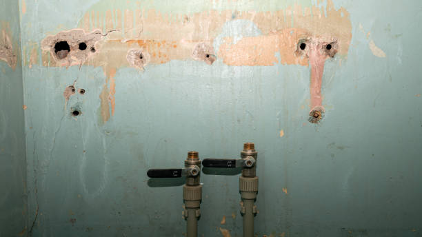 Best Flood restoration services  in Piney Mountain, VA