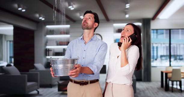 Best Ceiling water damage repair  in Piney Mountain, VA